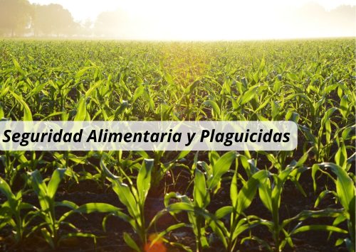 Seguridad alimentaria: los residuos de plaguicidas no suponen un riesgo dentro de la Unión Europea