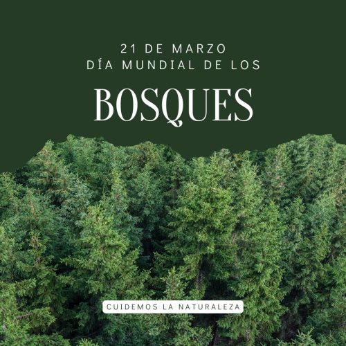 21 DE MARZO: DÍA INTERNACIONAL DE LOS BOSQUES